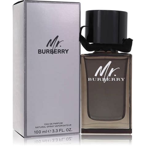 mr burberry pareri|burberry cologne for men.